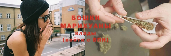 PSILOCYBIN Богородицк